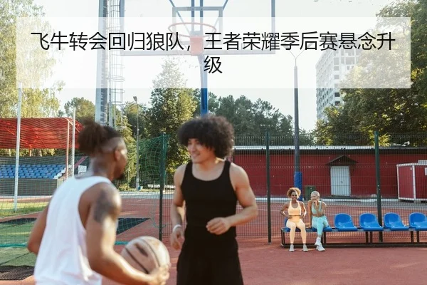 飞牛转会回归狼队，王者荣耀季后赛悬念升级